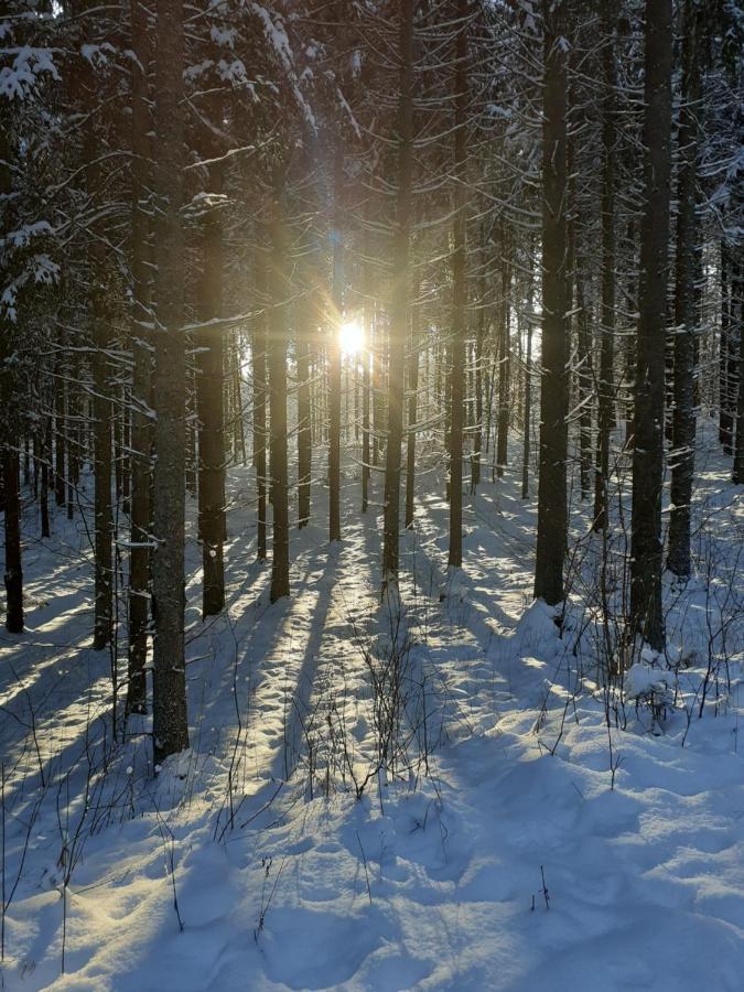 Spichlerz Lägenhet Rydzewo Exteriör bild
